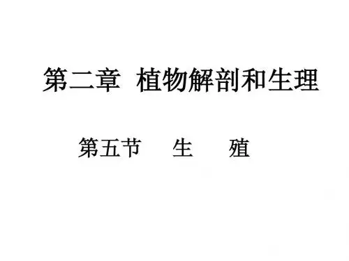 高中生物竞赛辅导课件__植物解剖和生理-第五节 生殖