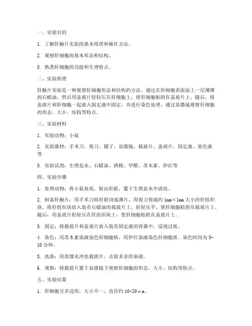 肝触片实验报告