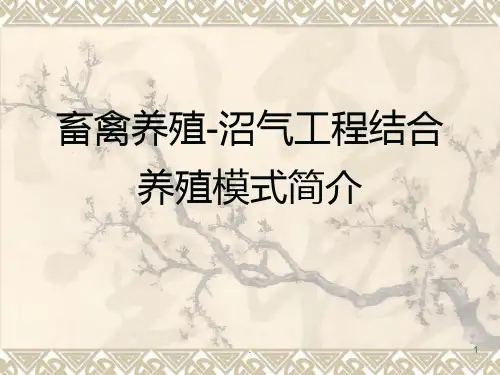 猪沼养殖模式简