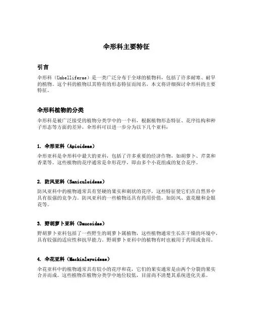 伞形科主要特征