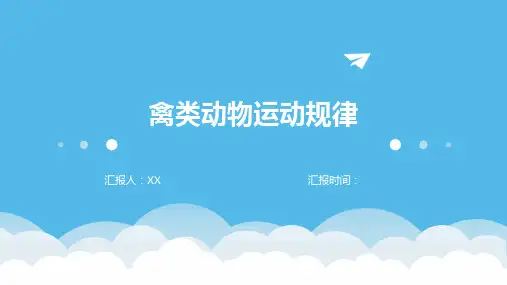 禽类动物运动规律