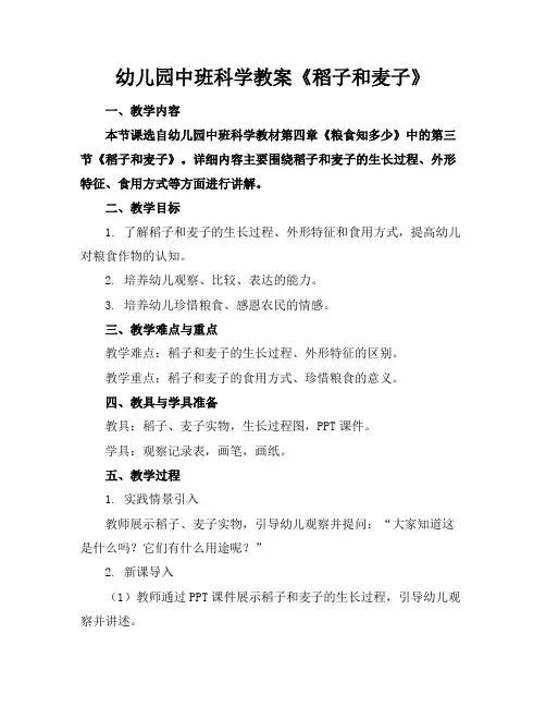 幼儿园中班科学教案《稻子和麦子》