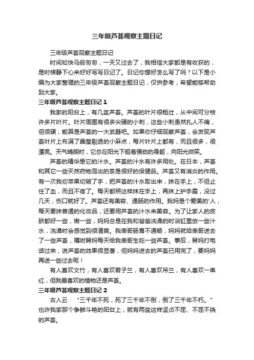 三年级芦荟观察主题日记