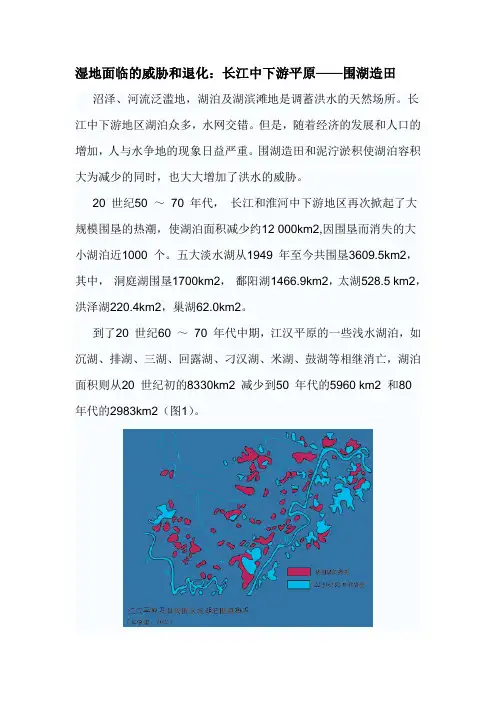 长江中下游平原――围湖造田.doc