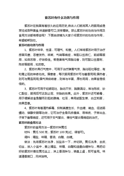 紫苏叶有什么功效与作用