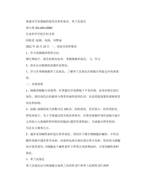 微生物实验报告---普通光学显微镜的使用及简单染色、革兰氏染色