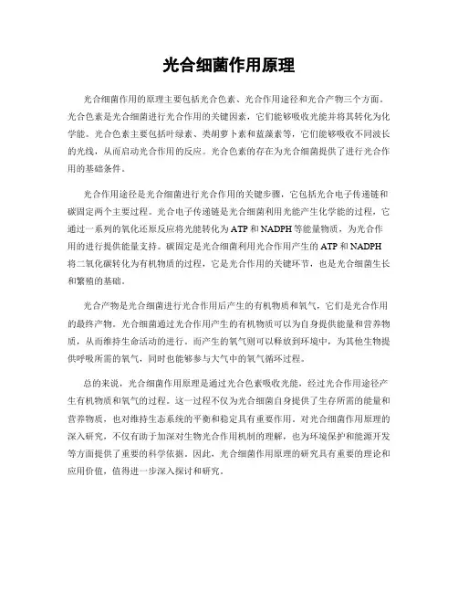 光合细菌作用原理