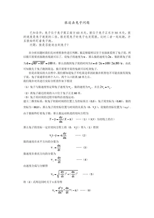 狼追击兔子问题