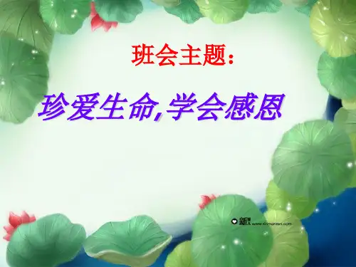 珍爱生命学会感恩完整ppt课件