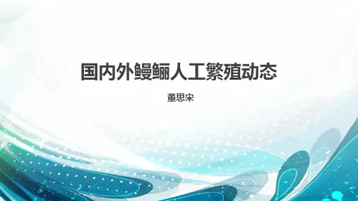 鳗鲡人工繁殖动态
