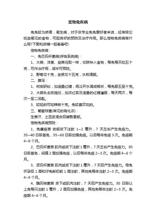 宠物兔疾病