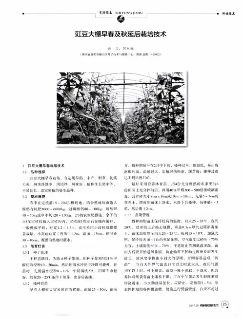 豇豆大棚早春及秋延后栽培技术