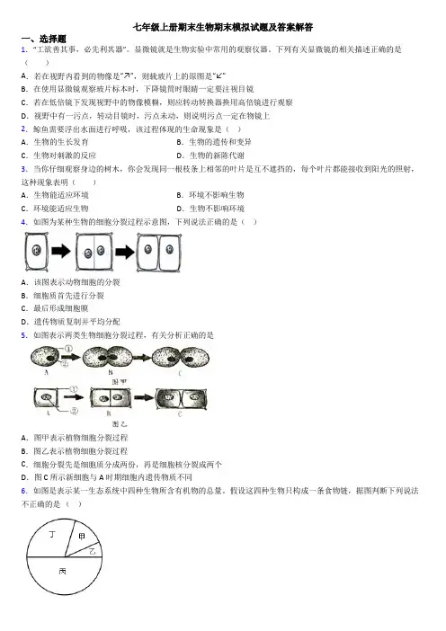 七年级上册期末生物期末模拟试题及答案解答