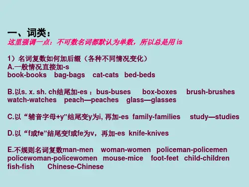 小学升初中语法总复习课