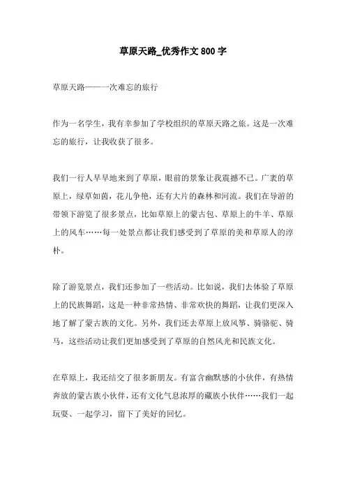 草原天路优秀作文800字