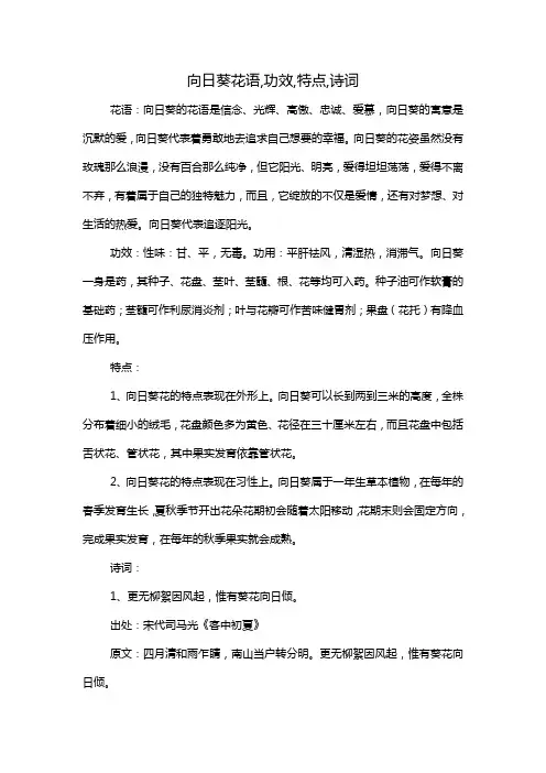 向日葵花语,功效,特点,诗词