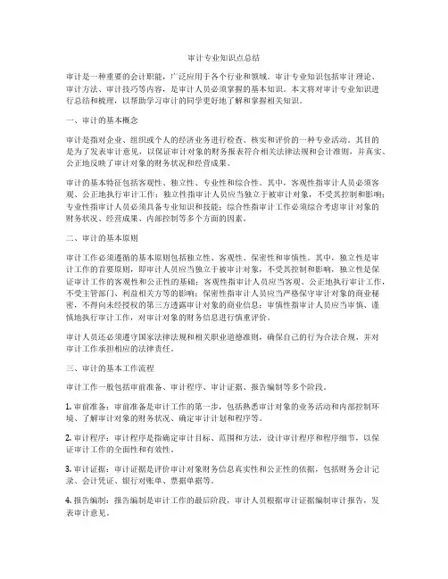 审计专业知识点总结