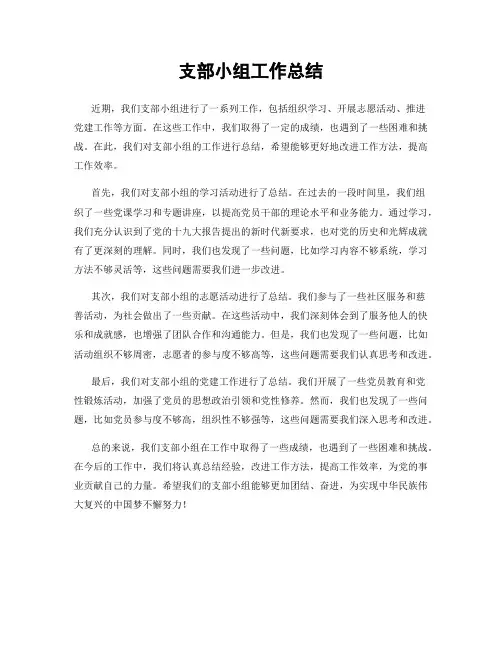 支部小组工作总结