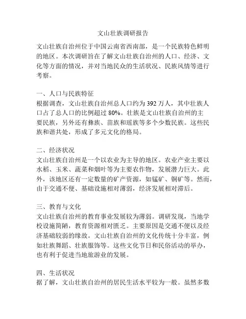 文山壮族调研报告
