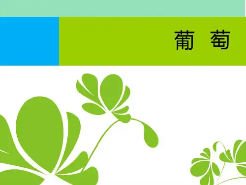 葡萄品种大全