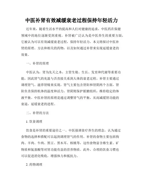中医补肾有效减缓衰老过程保持年轻活力