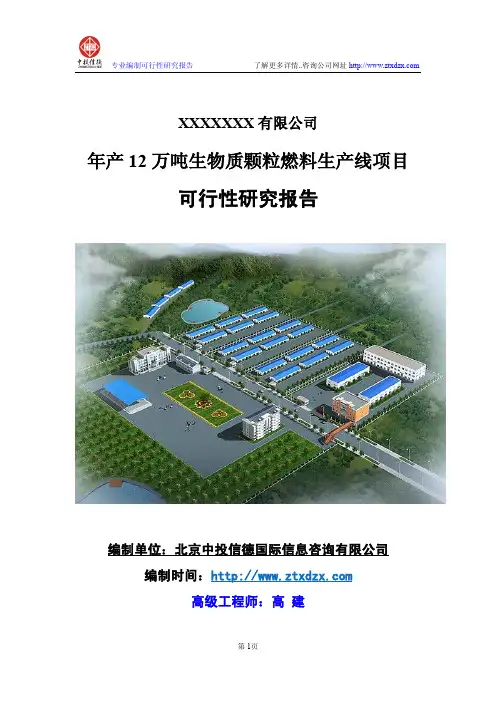 年产12万吨生物质颗粒燃料生产线项目可行性研究报告