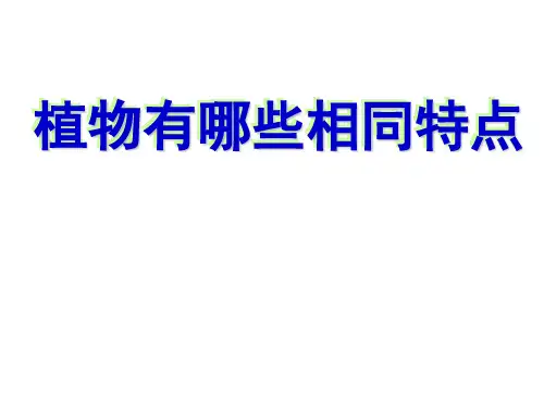 三年级科学上册 植物的有哪些共同特点课件5教科版