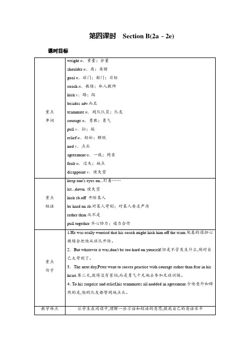 人教版九年级英语下册教案Unit 11Unit 11 第4课时