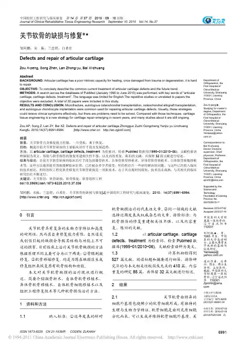 关节软骨的缺损与修复