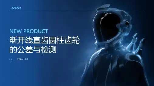渐开线直齿圆柱齿轮的公差与检测资料