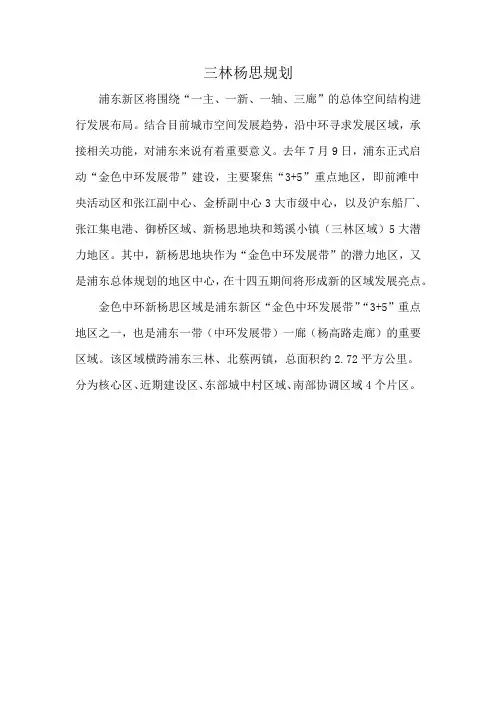 三林杨思规划