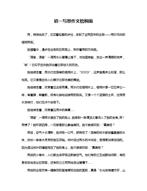 初一写景作文梧桐雨