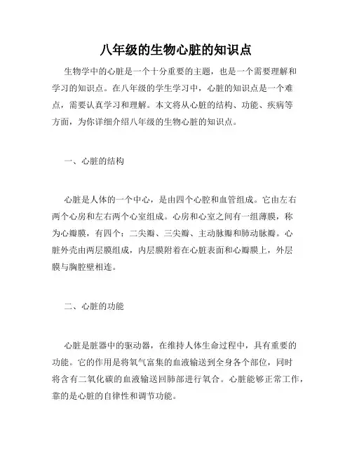 八年级的生物心脏的知识点