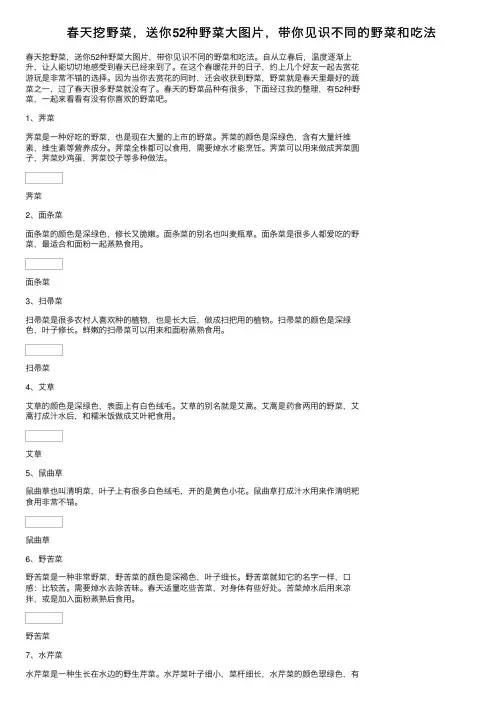 春天挖野菜，送你52种野菜大图片，带你见识不同的野菜和吃法