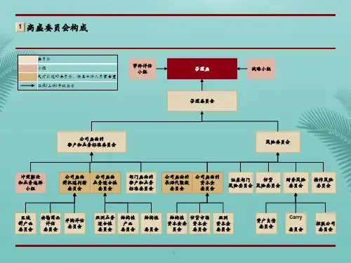 [精选]高盛、摩根士丹利组织结构图-推荐PPT