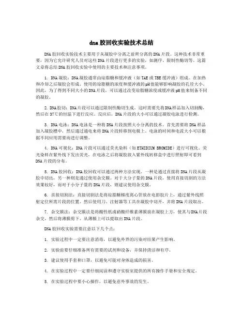 dna胶回收实验技术总结