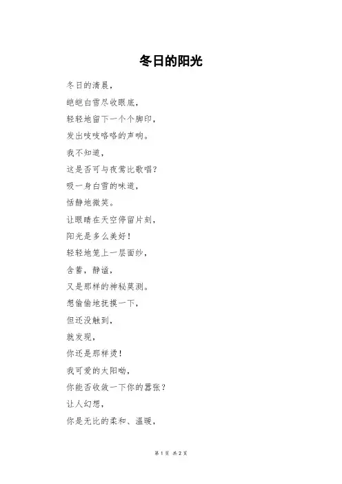 冬日的阳光_二年级作文