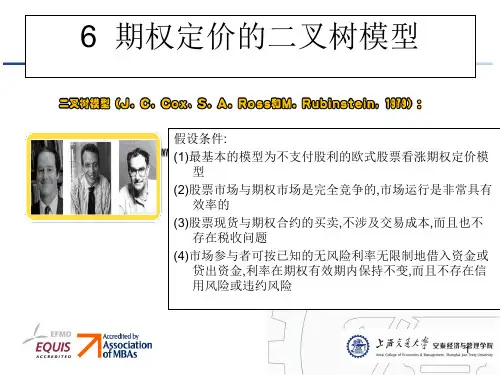 期权定价的二叉树模型介绍