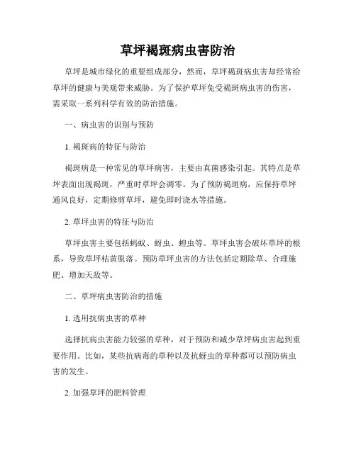 草坪褐斑病虫害防治
