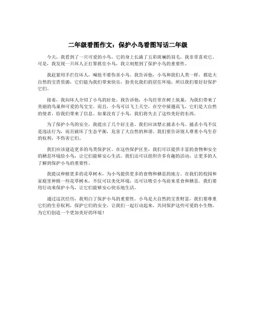 二年级看图作文：保护小鸟看图写话二年级