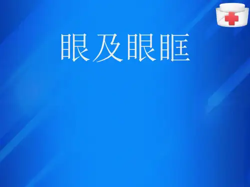 头颈部—眼部外伤的影像表现(医学影像诊断学课件)