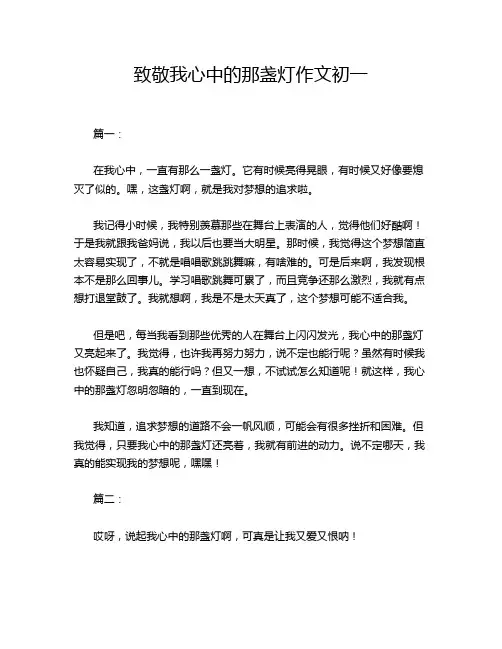 致敬我心中的那盏灯作文初一