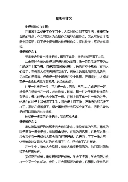 枇杷树作文（15篇）