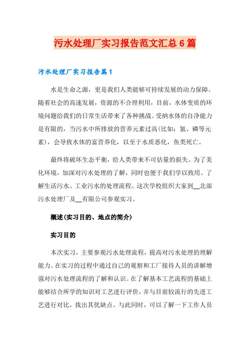 污水处理厂实习报告范文汇总6篇
