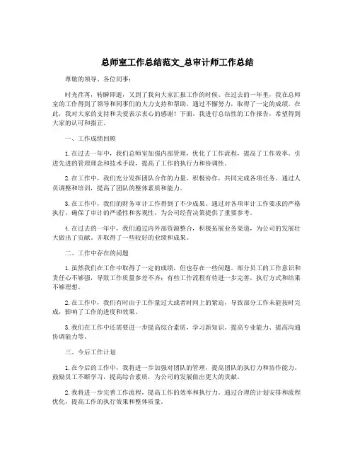 总师室工作总结范文_总审计师工作总结