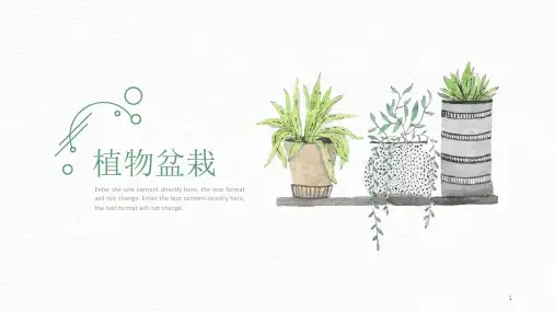 植物盆栽ppt模板课件
