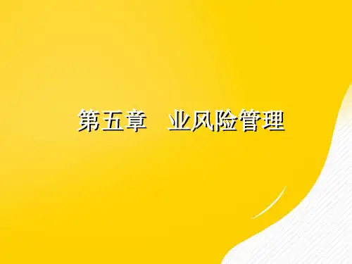 基金业风险管理优秀PPT文档