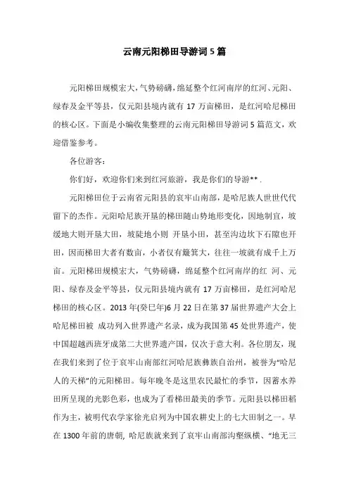 云南元阳梯田导游词5篇