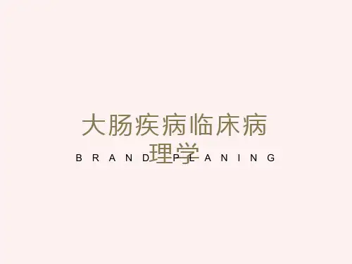 大肠疾病临床病理学