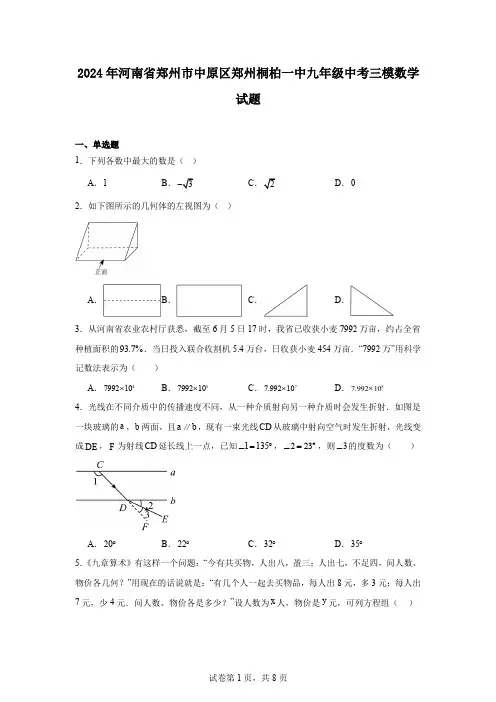 2024年河南省郑州市中原区郑州桐柏一中九年级中考三模数学试题